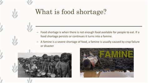 Understanding the Reality of Food Scarcity