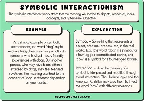 Understanding the Reality of Interacting with Famous Individuals