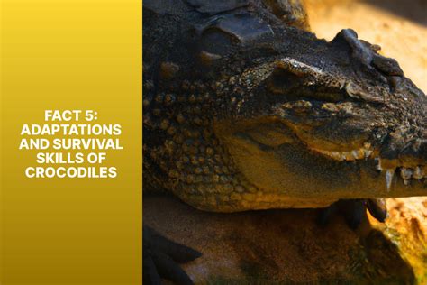 Understanding the Remarkable Adaptations of Crocodiles for Survival