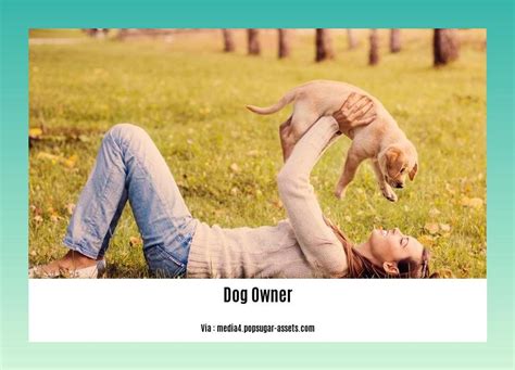 Understanding the Responsibilities of Dog Ownership