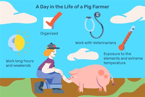 Understanding the Responsibilities of Pig Ownership