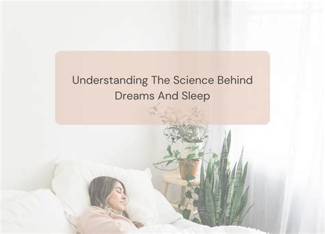 Understanding the Science Behind Dreams