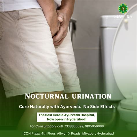 Understanding the Science Behind Nocturnal Urination