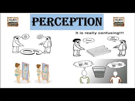 Understanding the Significance of Body Perception