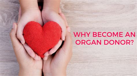 Understanding the Significance of Donating a Vital Organ