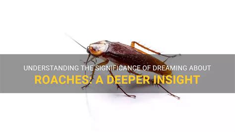 Understanding the Significance of Eradicating Dark Roaches in Your Dreams