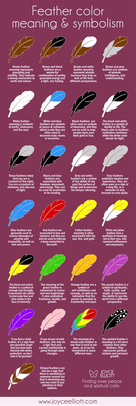 Understanding the Significance of Feather Colors