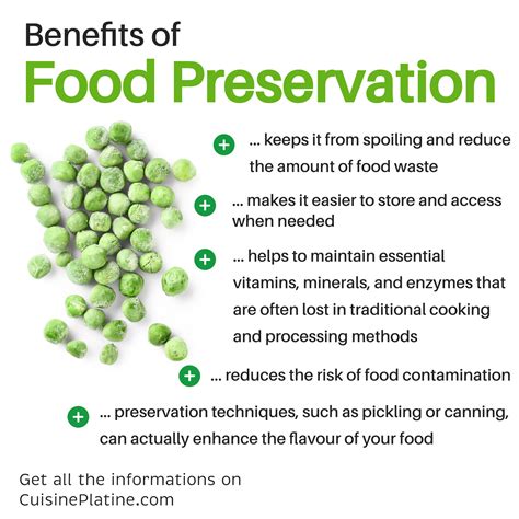 Understanding the Significance of Food Preservation