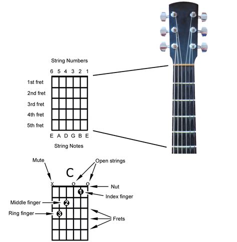 Understanding the Significance of Guitar Tablature