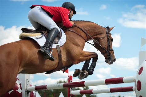 Understanding the Significance of Leadership in Equestrian Sports