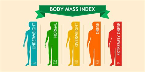 Understanding the Significance of Optimal Body Mass