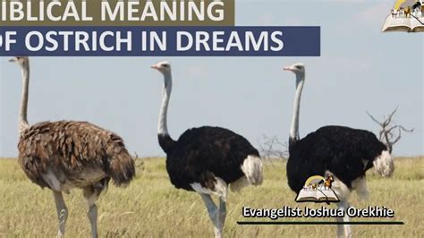 Understanding the Significance of Ostriches in Dream Psychology