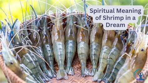 Understanding the Significance of Receiving Shrimp in Your Dreams