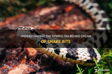 Understanding the Significance of Snake Bites in Dreams