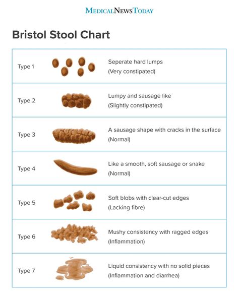 Understanding the Significance of Stool Color