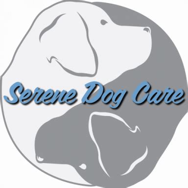 Understanding the Significance of a Serene Canine Partner