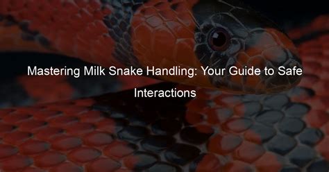 Understanding the Skills Required for Safe Interaction: Snake Whisperers