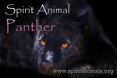 Understanding the Spiritual Significance of Ivory Panthers