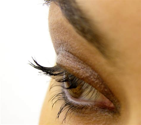 Understanding the Structure and Function of the Eyelids to Enhance Eyelid Care