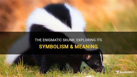 Understanding the Symbolism: Enigmatic Significance of Being Sprayed by a Skunk in Dreams