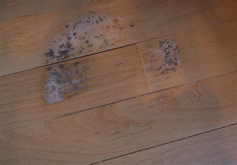 Understanding the Symbolism: Exploring the Meaning Behind a Damaged Hardwood Floor