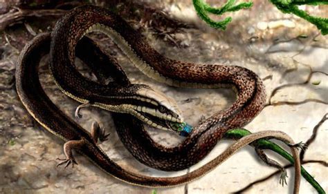 Understanding the Symbolism Behind the Enigmatic Four Legged Serpent