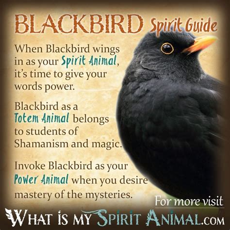 Understanding the Symbolism of Dark Feathered Birds