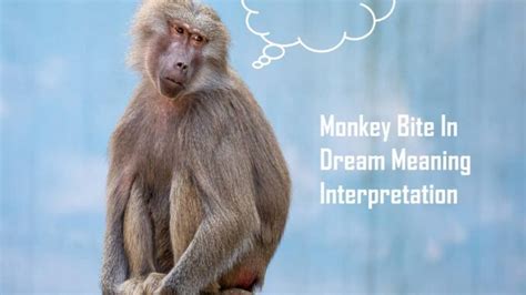 Understanding the Symbolism of Monkey Bites in Dreams