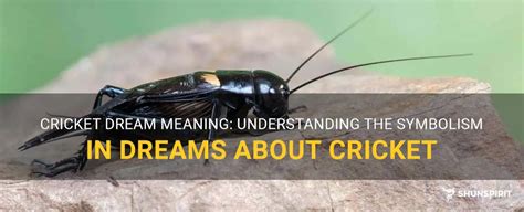 Understanding the Symbolism of a Cricket in Dreams