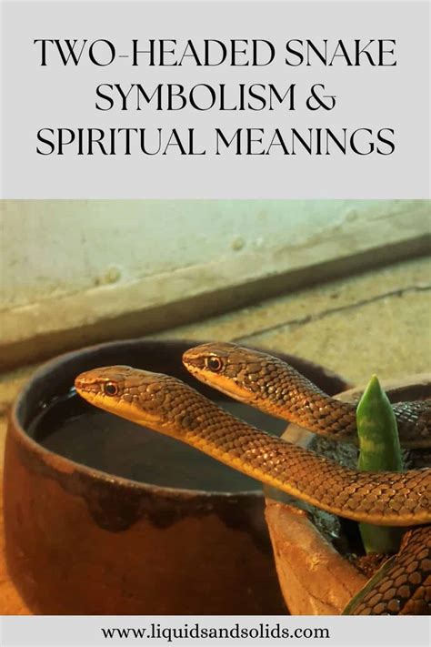 Understanding the Symbolism of a Serpent with Multiple Heads