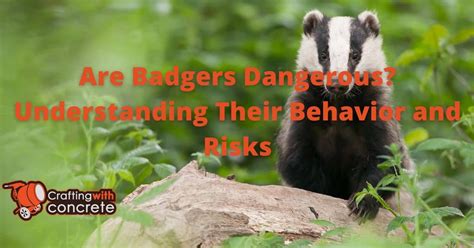 Understanding the Varied Behaviors Portrayed by Badgers in Dreams