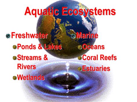 Understanding the Various Aquatic Environments and Their Hazards