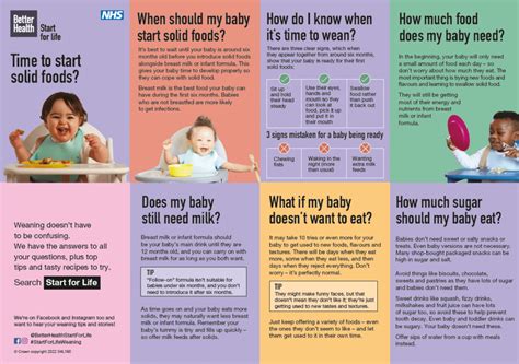 Understanding the Weaning Process and Introducing Solid Food