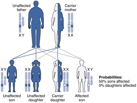 Understanding the Yearning for a Male Offspring