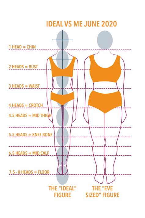 Understanding the body measurements of Charlie James