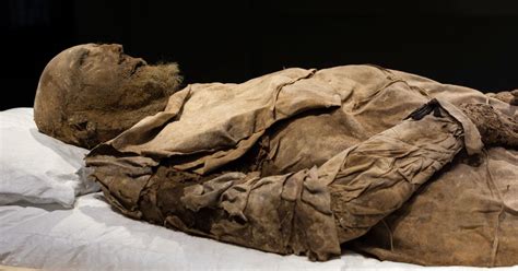 Unearthing the Chilling Origins of Preserved Cadavers