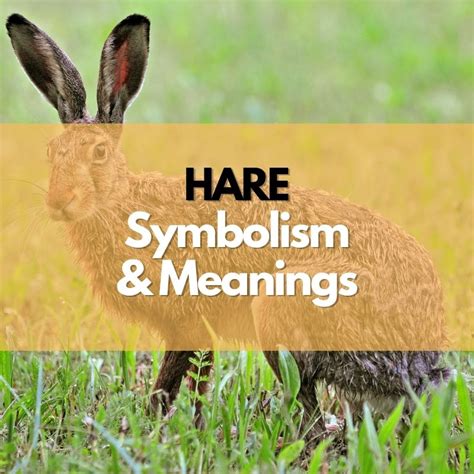 Unearthing the Mythological Origins of the White Hare's Symbolism