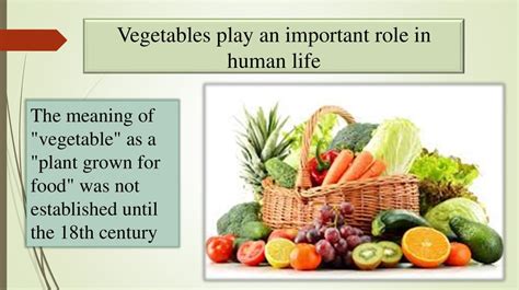 Unearthing the Psychological Motivations Behind Vegetable Roleplay