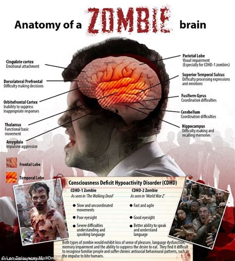 Unfolding the Psychological Significance Behind Embracing the Zombie Phenomenon