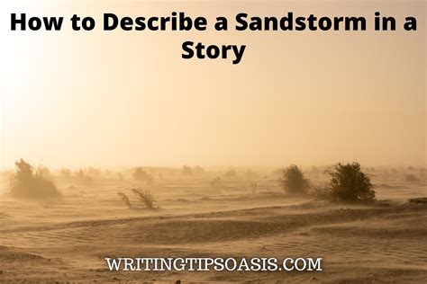 Unforgettable Memories: Sharing Tales of Triumph from a Turbulent Sandstorm Expedition