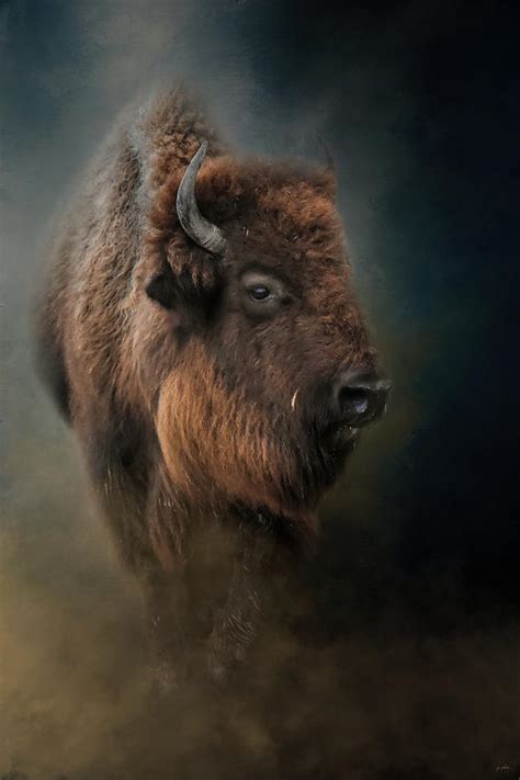 Unforgettable Wildlife Encounters: Up-Close Experiences with the Mighty Bison