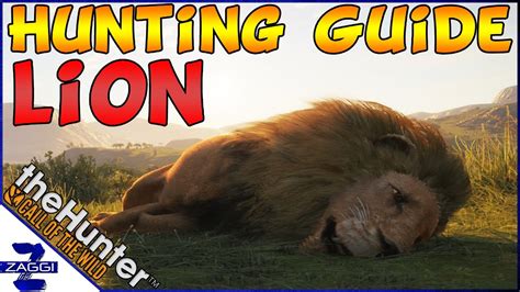 Unique Hunting Strategies of the Majestic Wild Lion