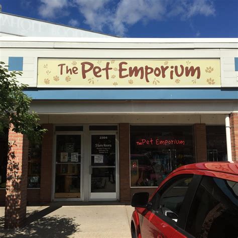 Unleash Your Companion's Potential: How a Fantastic Pet Emporium Can Enrich Their Lives