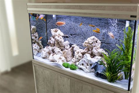 Unleash Your Creativity: Designing the Perfect Aquarium for Your Home