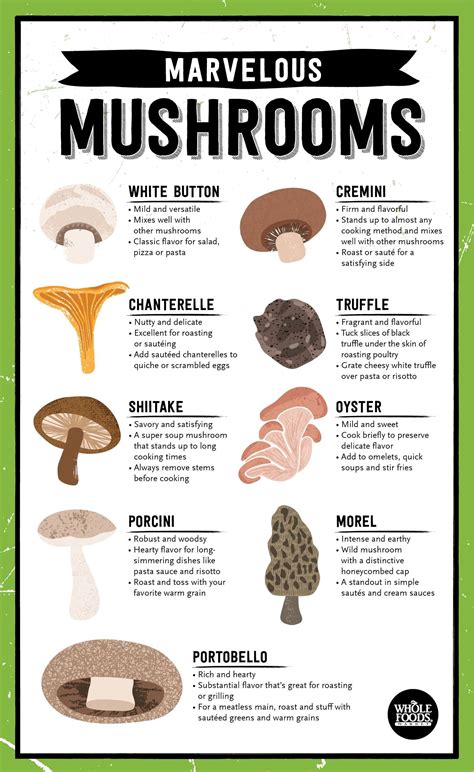 Unleash Your Creativity: Different Types of Fungi for Unique Dishes