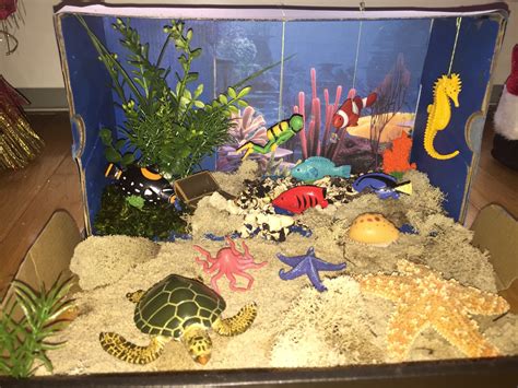 Unleash Your Imagination: Designing and Decorating a Miniature Aquatic Habitat