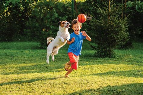 Unleash Your Inner Child: How Playing with Pets Can Boost Your Happiness