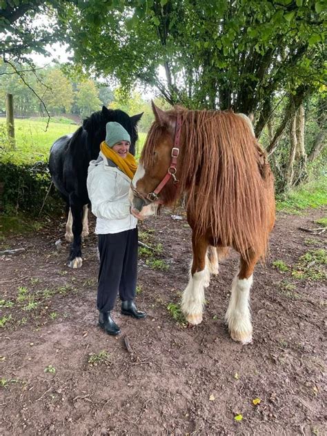 Unleash Your Inner Child and Rediscover the Thrill of Equestrian Adventures