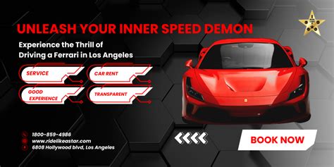 Unleash Your Inner Speed Demon: The Thrill of High-Powered Sports Cars