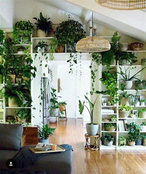 Unleashing Your Creativity: Innovative Ways to Display and Style Your Indoor Plants